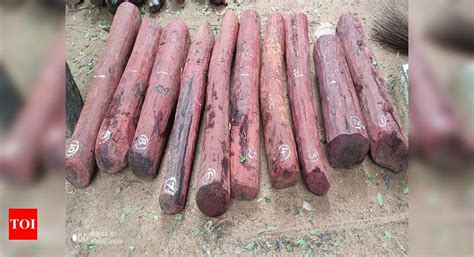 Andhra Pradesh Task Force Sleuths Seize Red Sanders Logs But Smugglers Manage To Escape