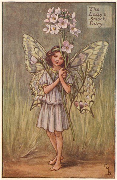 Stitchwort Fairy By Cicely Mary Barker Spring Flower Fairies C1935 Old