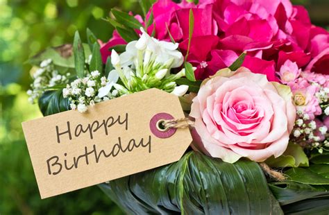 Make your family and friends feel comforted & uplifted with a blue mountain® ecard. Great Reasons to Send Happy Birthday Flowers | FloraQueen