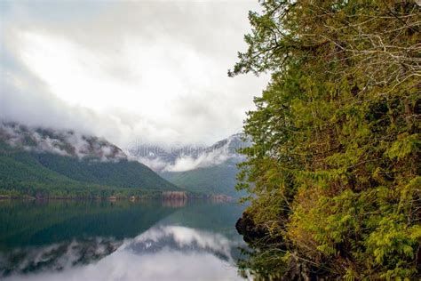 Morning Fog In Sproat Lake In Vancouver Island Canada Stock Image