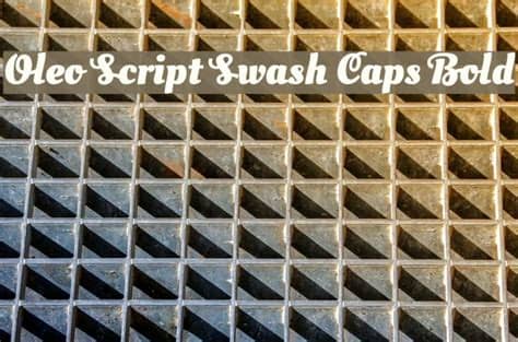 You can also downloads other fonts: Oleo Script Swash Caps Bold Font - free fonts download