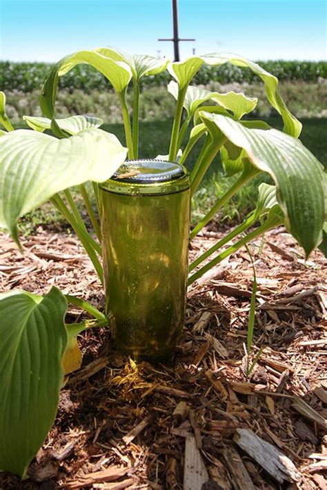 Check spelling or type a new query. DIY Automatic Plant Waterer | The Creek Line House