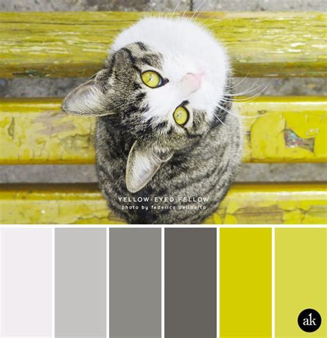 A Cat Inspired Color Palette — Creative Brands For Creative People