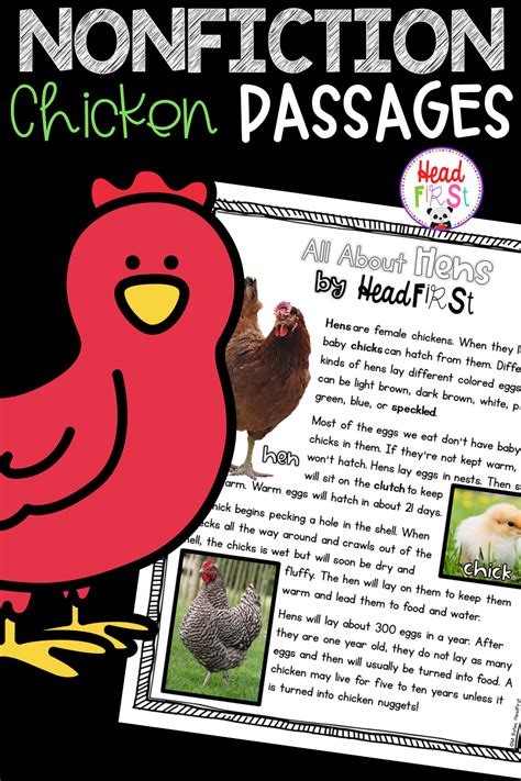 Chickens Close Reading Comprehension Passages Questions And Writing