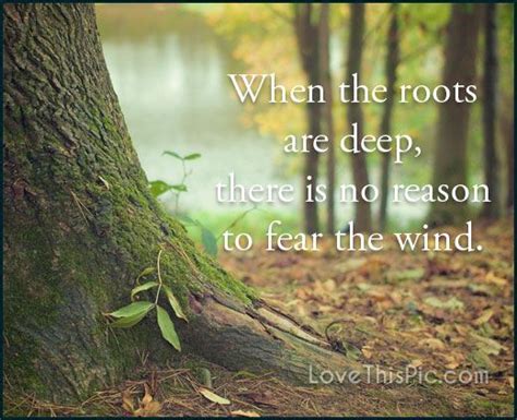When Roots Are Deep Roots Quotes Plants Nature Plants