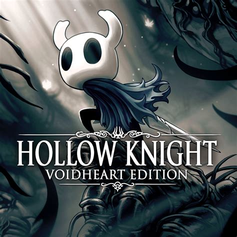 Hollow Knight Voidheart Edition 2018 Mobygames
