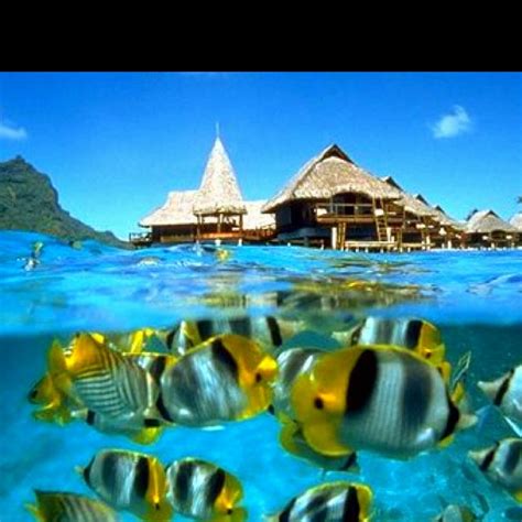 Bora Bora Redang Island Places To Travel Places