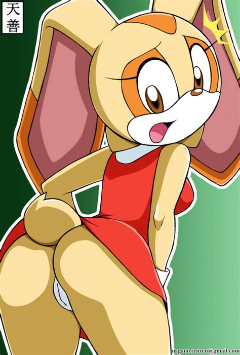 Rule 34 Ass Cream The Rabbit No Panties Pussy Sonic Series Tenzen