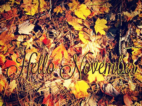 Hello November Hd Wallpapers Pixelstalknet