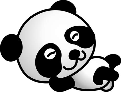 Panda Björn Tecknad Serie Gratis Vektorgrafik På Pixabay