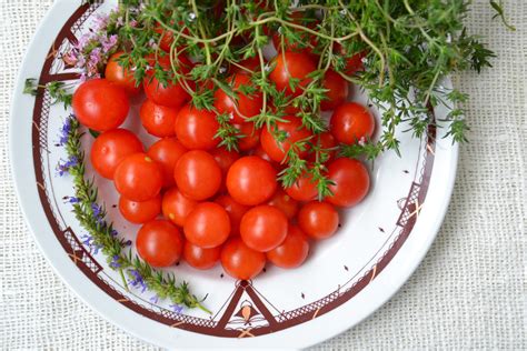 Free Images Cherry Tomatoes Bush Tomato Solanum Vegetable Plum Tomato Fruit Natural