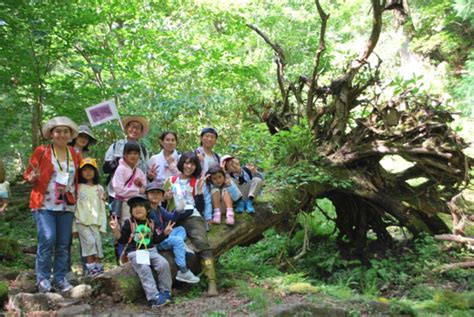 子どもたちを原生林に連れていきたい!!～本当の森体験ツアー（一般財団法人 日本熊森協会 2019/07/04 公開） - クラウドファンディング READYFOR (レディーフォー)