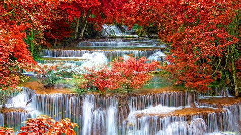 4k Free Download Waterfall Stream Between Red Autumn Leafed Trees In