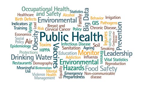 Public Health At Sju
