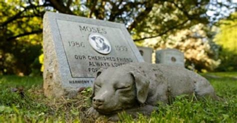 New Law Allows Pets To Be Buried Alongside Their Humans At Cemeteries