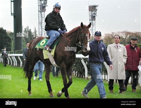 The Best Horse In The World Hi Res Stock Photography And Images Alamy