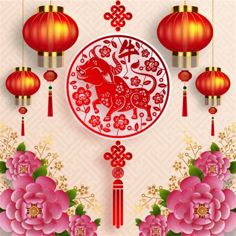 Das chinesische neujahrsfest findet am 12. Chinesisches neujahr 2021 jahr des ochsen, asiatischer ...