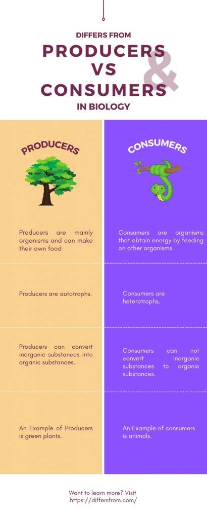 Difference Between Producers And Consumers In Biology Differs From