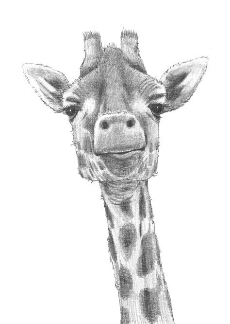 Please subscribe to my page. drawings-old | David Smith Art