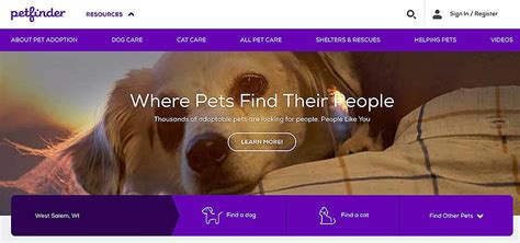 The 4 Best Adoption Websites For Dogs
