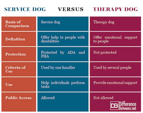 Difference Between A Service Dog And A Therapy Dog