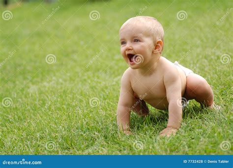 Baby On Grass Stock Photo Image Of Child Grass Babies 7732428