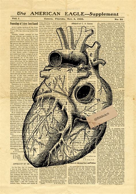 Human Heart Antique Anatomy Vintage Printable Collage Old Etsy