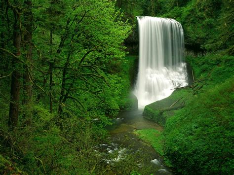 Waterfall In A Green Forest 1400×1050 Wide Deanne Live