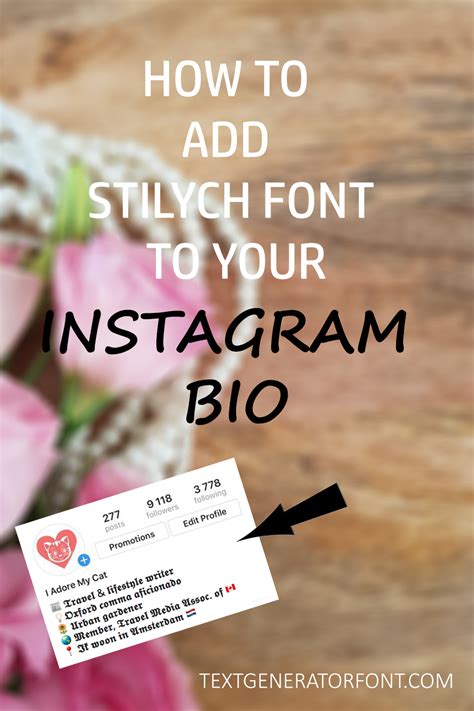 Make Your Instagram Bio Differtent From The Others