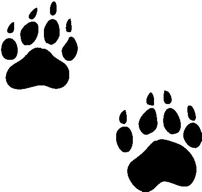 Tiger Footprints ClipArt Best