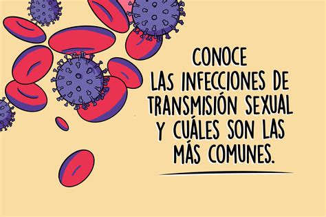 Conoce Las Infecciones De Transmisi N Sexual Y Cu Les Son Las M S Comunes