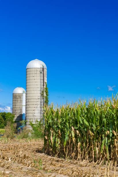 Corn Field And A Silo Free Stock Photo Public Domain Pictures