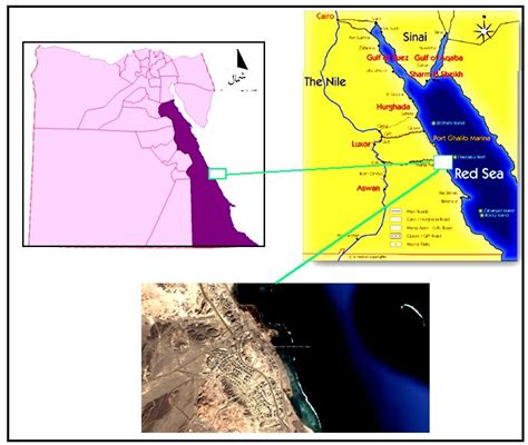 Location Map Of Marsa Alam Download Scientific Diagram