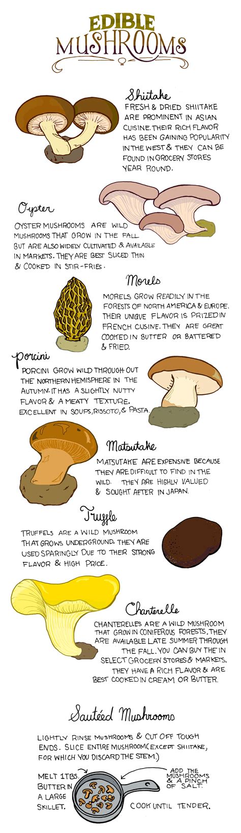 Your Guide To Identifying And Cooking Edible Mushrooms