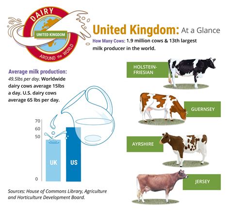 Uk Dairy Farmers Face Upheaval Darigold