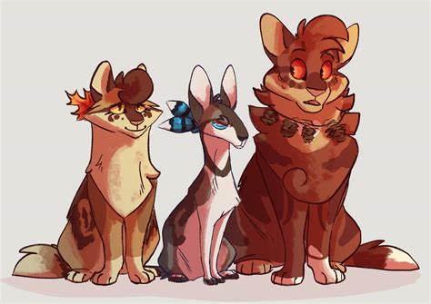 Thunderclan Medicine Cats By Pigeon Nuggets On Deviantart