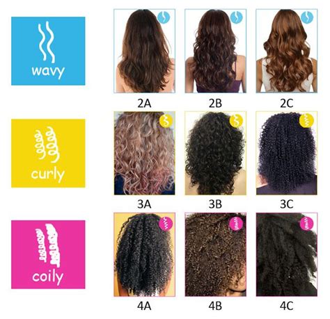 Curly Hair Pattern Chart Fashion Style