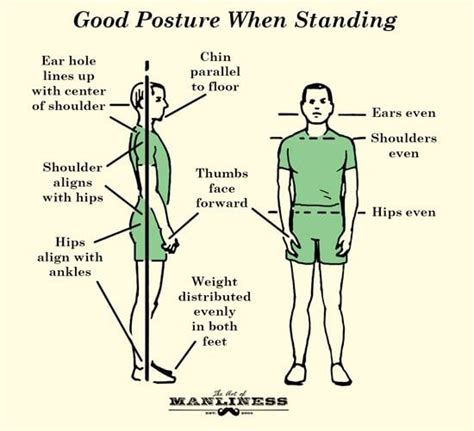 Good Posture When Standing Illustration Diagram Posture Fix Body