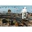 Mauritius Oil Spill India Provides Timely Assistance To Help Control 