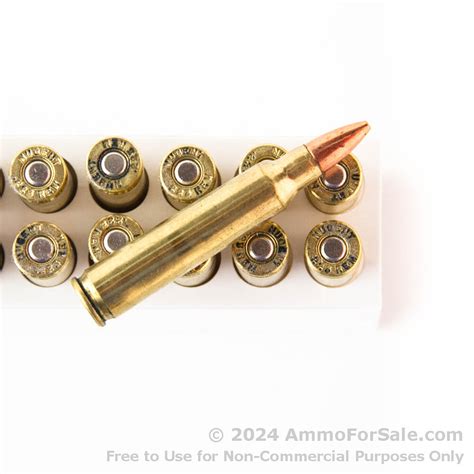 20 Rounds Of Discount 55gr Tsx 223 Ammo For Sale By Ted Nugent Ammo