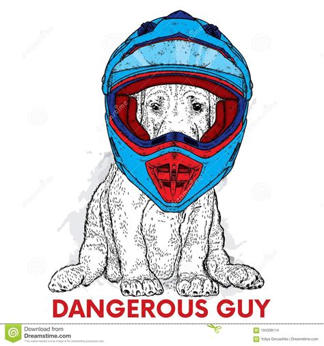 A Beautiful Dog In A Motorcycle Helmet Purebred Puppy Vector