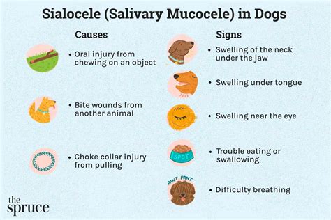 What Causes A Dogs Salivary Gland To Swell