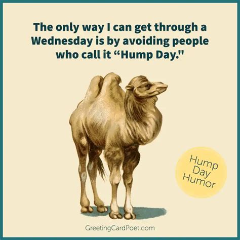 73 funny wednesday jokes to get you over the hump