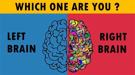 The phrase left and right brain refers to the anatomical halves, or hemispheres, of your brain. Are You Right Or Left Brain Dominance ? Personality Test ...