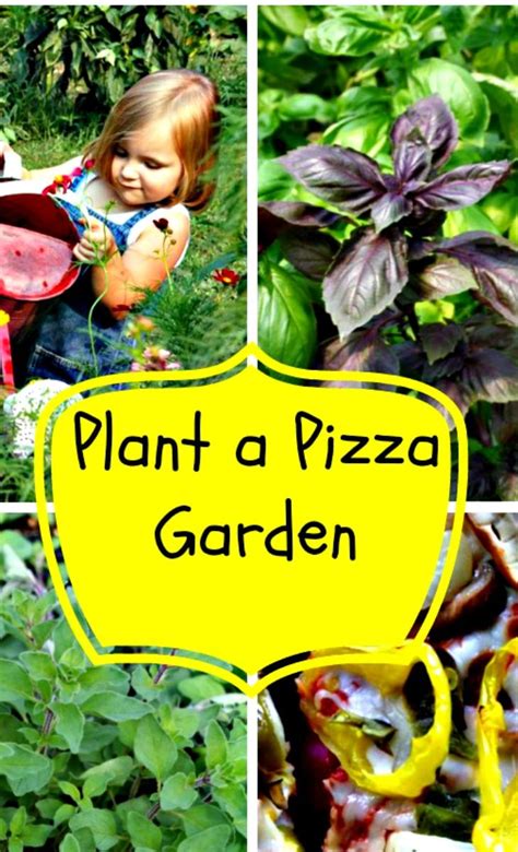 Plant A Pizza Garden With Images Garden Layout Vegetable Food