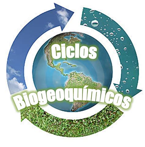 ¿qué Es Ciclos Biogeoquímicos