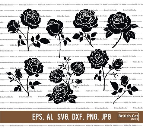 Rose Svg Bundle Flower Svg Roses Clipart Rose Stencil Dxf Etsy Italia