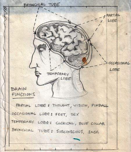 Profiles Of Science Fiction Brains Yunchtime