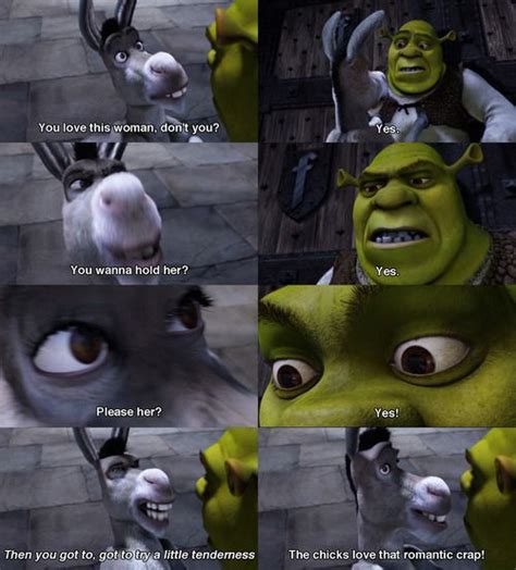 Memes Funny Shrek Quotes Shortquotescc