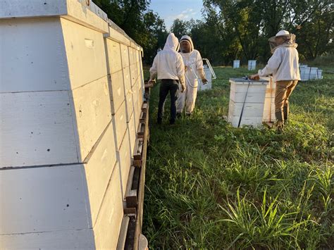 The Sourwood Flow Part I — Beeco Apiaries